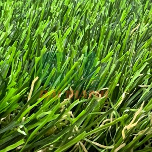 Cỏ Sân Vườn ĐT-SV35 Cỏ Sân Vườn ĐT-SV35