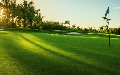 Nơi thiết kế sân golf uy tín tại tphcm